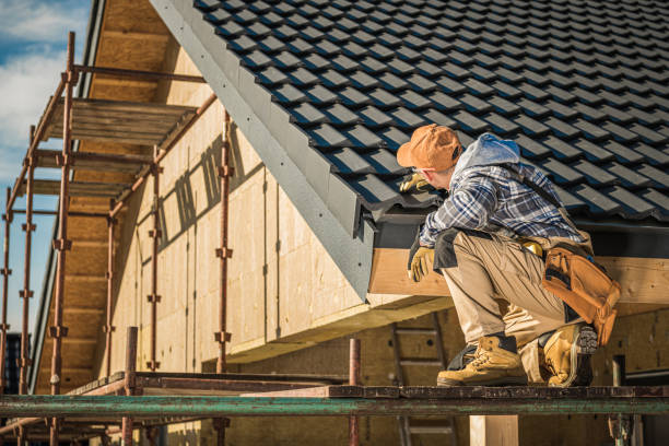 Best Shingle Roofing Installation  in Emmon, AK