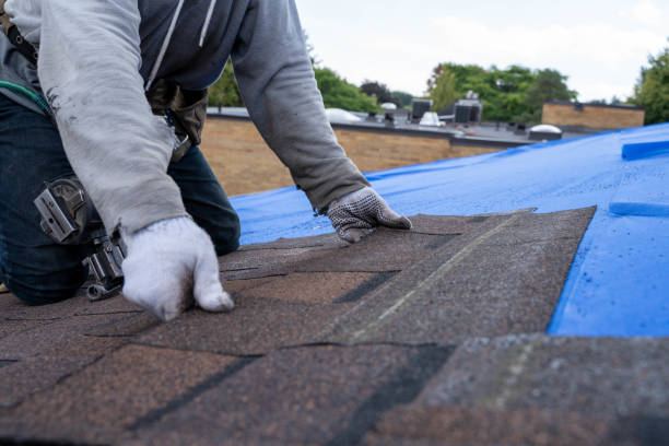 Best Best Roofing Contractors  in Emmon, AK