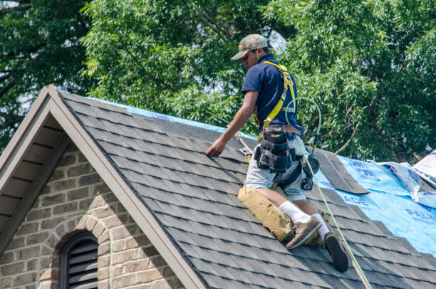 Best Roof Restoration Services  in Emmon, AK