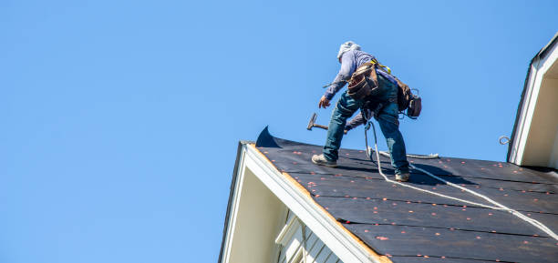 Best Roof Gutter Cleaning  in Emmon, AK